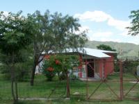 imagen-2