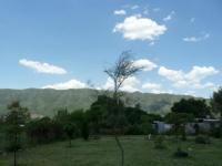 imagen-3