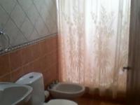 imagen-7