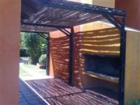 imagen-11