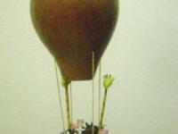 imagen-5