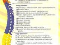 imagen-13