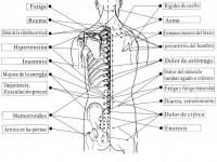 imagen-14