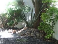 imagen-7