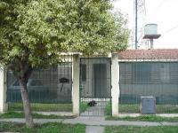 imagen-2