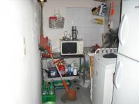 imagen-6