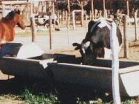 imagen-12