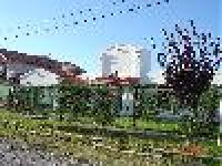 imagen-1