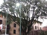 imagen-9