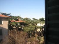 imagen-20