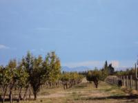 imagen-3