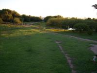 imagen-5