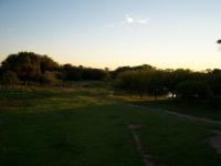 imagen-6