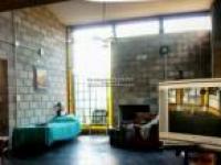 imagen-2