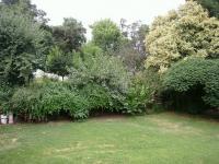 imagen-5