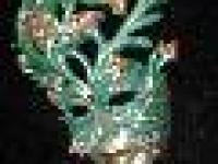imagen-4