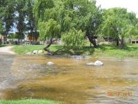 imagen-8
