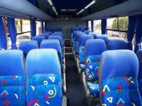 imagen-11