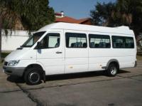 imagen-15