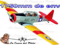 imagen-11