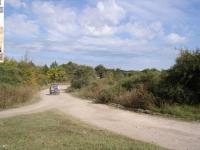 imagen-2