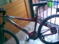 imagen-1