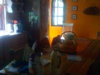 imagen-7