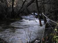 imagen-4