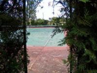 imagen-2