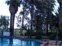 imagen-8