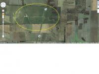 imagen-6