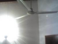 imagen-3
