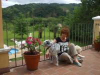 imagen-2