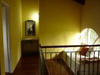 imagen-6