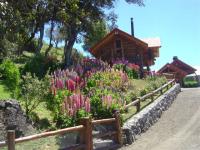 imagen-12