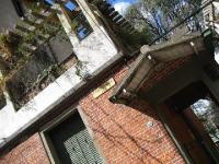 imagen-11