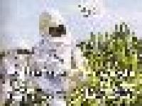 imagen-2