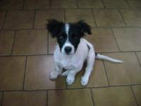 imagen-3