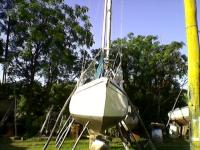 imagen-3