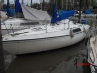 imagen-5