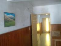 imagen-9