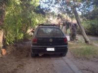 imagen-2