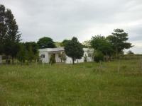 imagen-10