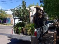 imagen-6