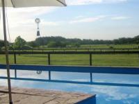 imagen-11