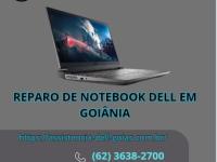 imagen-10