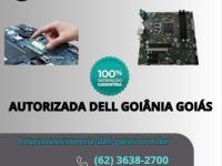 imagen-6