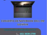 imagen-7