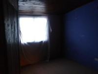 imagen-7