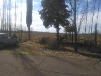 imagen-2